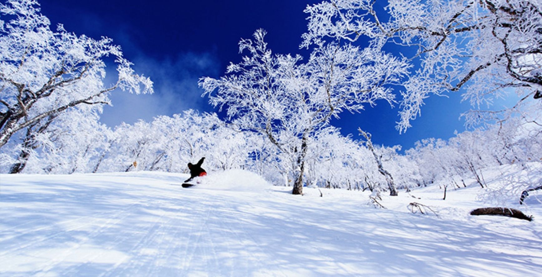 north winter 2